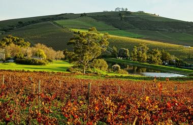Each season is a visionary delight, in the Winelands