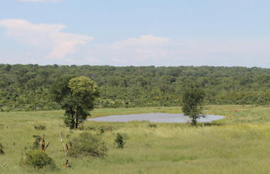 Tuskers Campsite overlooking Ivory waterhole