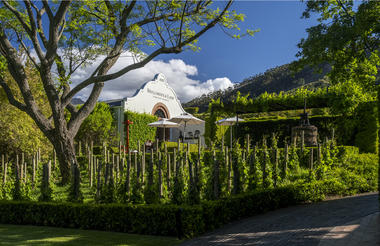 The Wine Studio