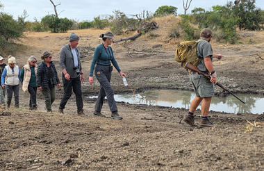 Bush Walk with group