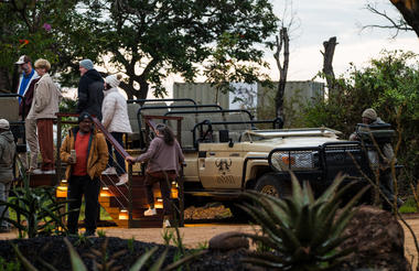 Safari
