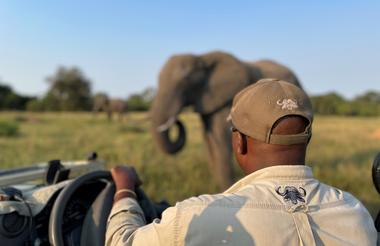#inyatisafari