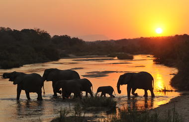 “If you only visit two continents in your lifetime, visit Africa – twice!” * R. Elliot