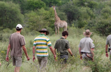 Kapama Game Reserve Bush Walks