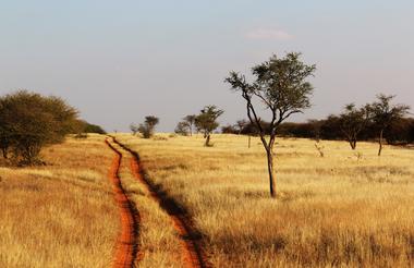 Kalahari Road Otjimbondona