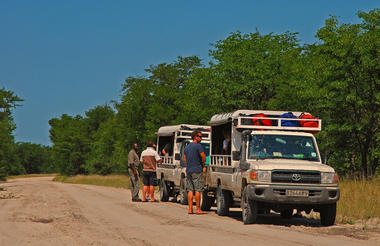 Game-Viewing Vehicles