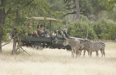 Zebra's in Mosi-ao-Tunya National Park