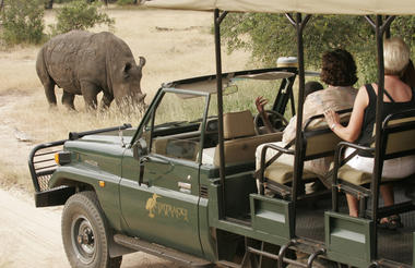 Rhino in Mosi-ao-Tunya National Park