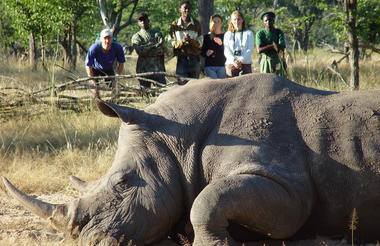 Mosi-ao-Tunya Walking Safari 