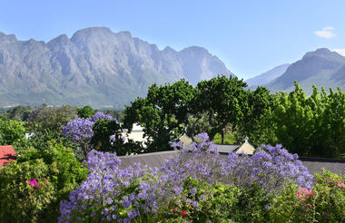 Franschhoek Boutique Hotel - View From Rooms