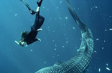 Life Changing Holiday's