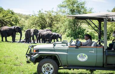 Shared Game Drive