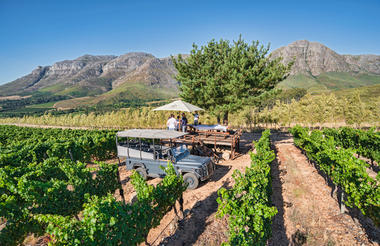 Waterford Estate Wine Drive Safari 