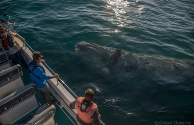 When we say close encounter, you get close encounter!