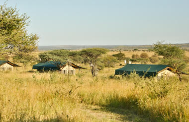 Views over the Serengeti