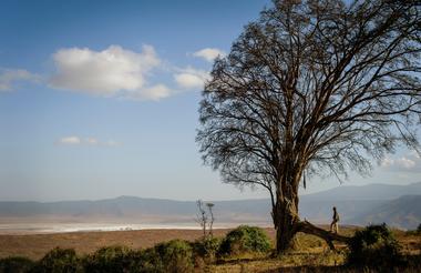 This is the wild side of the Crater - remote and untouched.