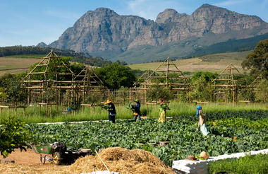 Babylonstoren