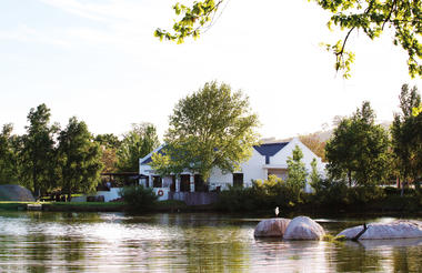 Spier Wine Tasting Room