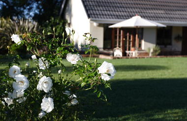 Elgin Farm View