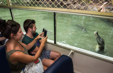 Boat Cruise at Hartley's Crocodile Adventures
