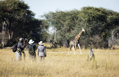 Hwange Walking Safari