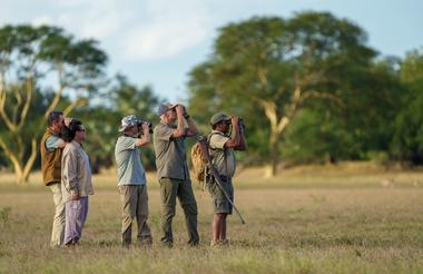 Make discoveries on foot with expert guide