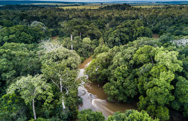 Mboko Lodge - Kamba African Rainforest Experiences