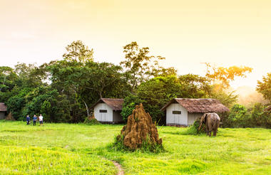 Mboko Lodge - Kamba African Rainforest Experiences