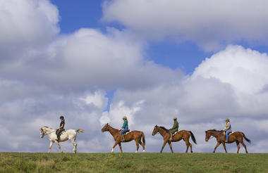 Horse Riding