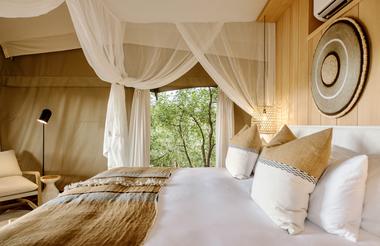 Encounter by Ongava Guest Tent