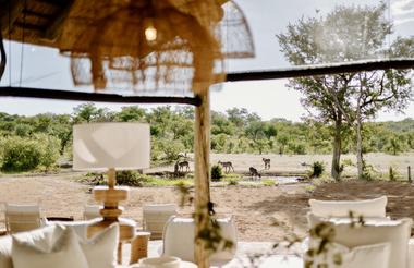 Encounter by Ongava scene