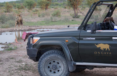 Game drive on Ongava Game Reserve