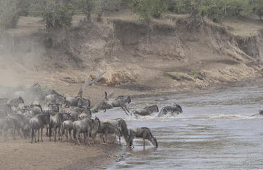 Tangulia Mara Camp
