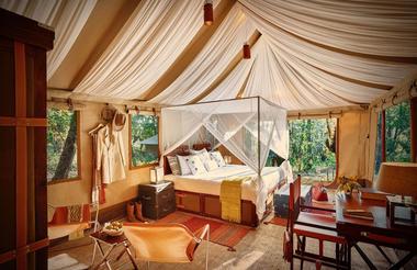 Luxury Suite Tent