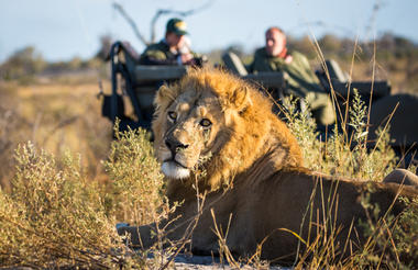 Wildlife and safari experience at Zarafa Camp