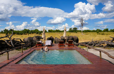 Somalisa Expeditions Pool
