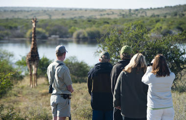 Kwandwe Safari Activities