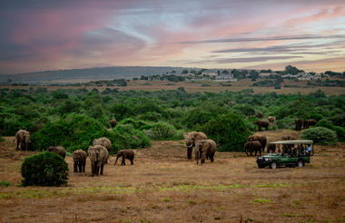 Shamwari Private Game Reserve_Long Lee Manor