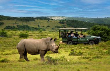 Game Drive Experience