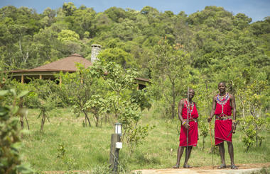 The lodge and tented suites are nestled within the forest making guest feel at one with nature