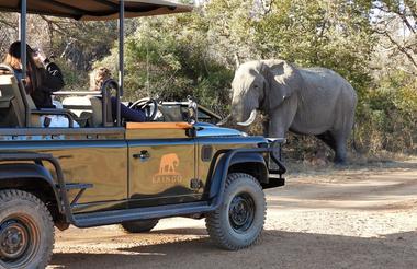 Game drives