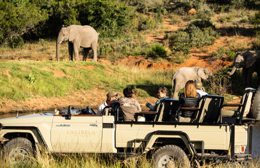 Game viewing at Lalibela Game Reserve