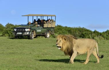 Eagles Crag Lodge at Shamwari Game Reserve