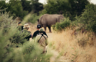 Rhino Tracking