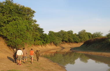 Bush walks