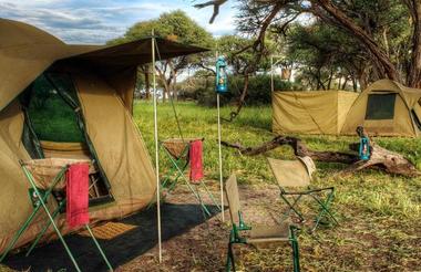 Mobile Budget Safari