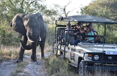 Tembe Safari Experience