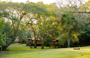Chalet setting along the Chobe River