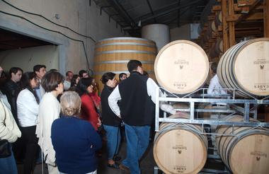 Cellar Tour
