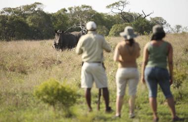 &Beyond Phinda Mountain